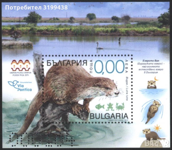 Сувенирен блок Екология Фауна Видра 2019 от България, снимка 1