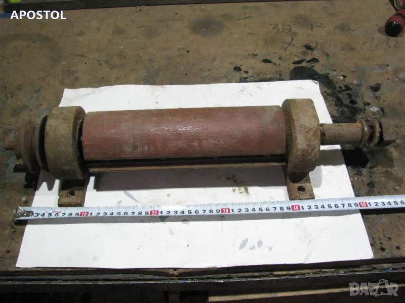 Глава от абрихт , снимка 1