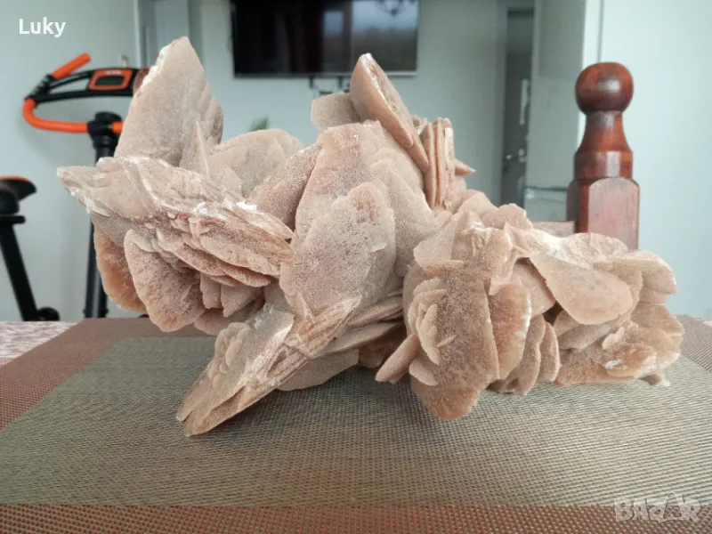 Красива и интересна вкаменелост--Пустинна роза от пустинята Сахара., снимка 1