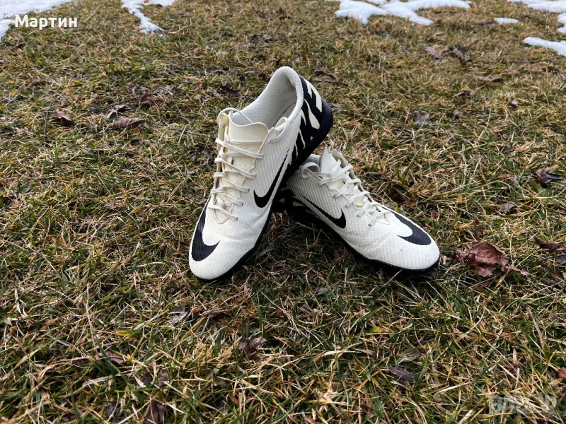 Стоножки, снимка 1