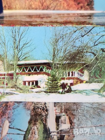 Видин фотографии (на малки диплянки) ч/б ( от 1950-те) и на Народен парк Витоша от 1973 г. цветни, снимка 11 - Други ценни предмети - 49939235