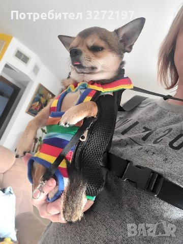 Раница Rainbow Pet Dog Carrier за пренасяне на кучета и котки, снимка 7 - За кучета - 40441066