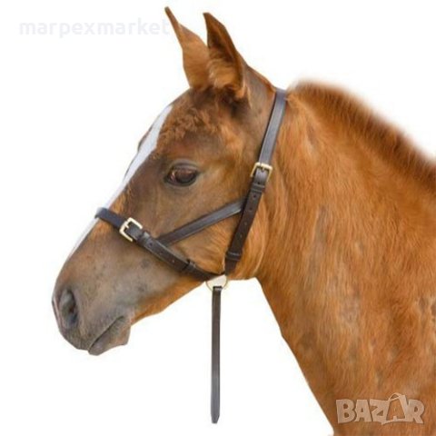 Кожен юлар за новородено конче - FL