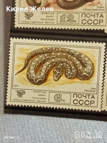 Стари пощенски марки чисти без печат СССР редки за КОЛЕКЦИЯ ДЕКОРАЦИЯ 52005, снимка 5 - Филателия - 53217436