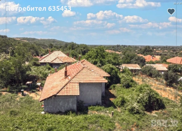 Продава 100 м2 къща с 1200 м2 двор в хубаво село, на 2 км от Дунав, снимка 4 - Къщи - 51062685