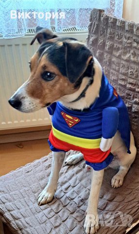 Кучешки костюм Супермен!- Superman / Bathman / Wonder woman/Super Power, снимка 3 - За кучета - 42611193