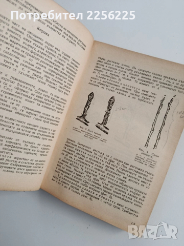 Наръчник по овощарство 1960г, снимка 11 - Специализирана литература - 53385359