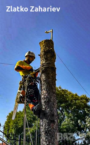 Рязане,оформяне,укрепване на опасни дървета , снимка 10 - Други услуги - 39864280