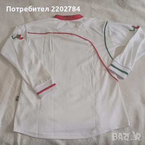 Футболни тениски национални отбори Швеция,Иран,Ямайка,Тайланд,Камерун,Суринам,Босна и Херцеговина, снимка 4 - Фен артикули - 53071737