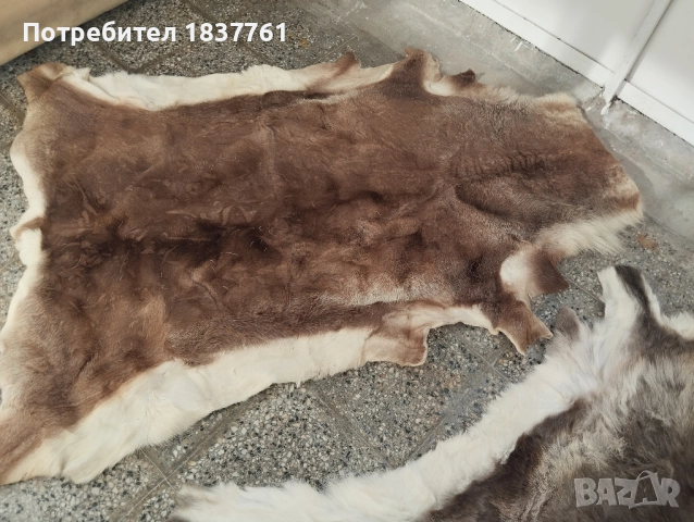 Естествени кожи големи , снимка 4 - Декорация за дома - 52177515