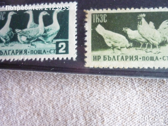 Пощенски марки, снимка 6 - Филателия - 36338689