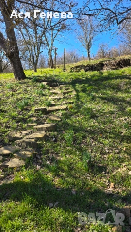 продавам къща в с. Раково, снимка 5 - Къщи - 53765997