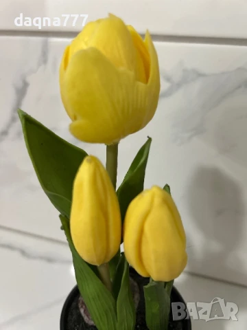 Лалета , снимка 4 - Декорация за дома - 50814177