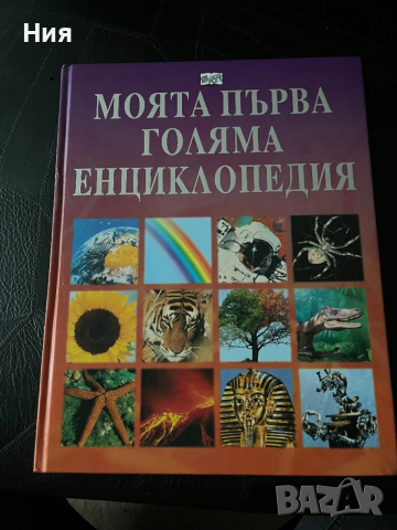 Енциклопедия за деца