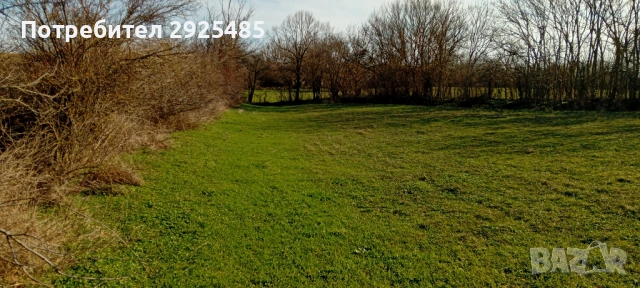 Урегулиран поземлен имот – 1380 кв.м. в с. Конево, общ. Върбица, снимка 4 - Парцели - 53710789