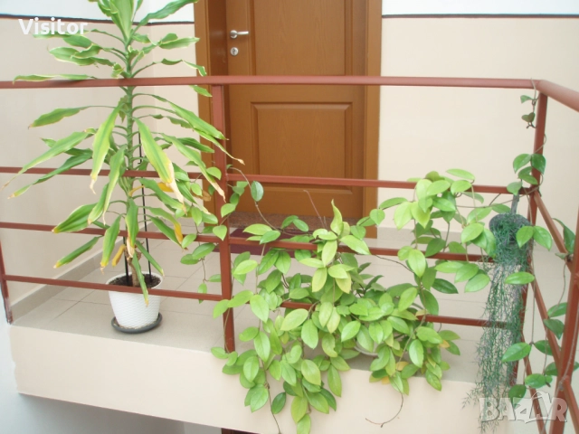 Olympus Stylus 740  7.1MPx, снимка 17 - Фотоапарати - 52616159