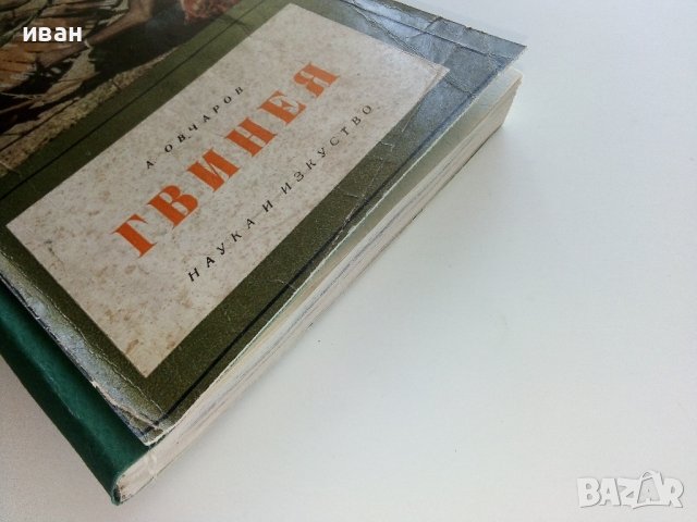 Гвинея - Ангел Овчаров - 1963г. , снимка 10 - Енциклопедии, справочници - 42103132