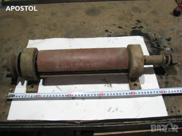 Глава от абрихт , снимка 1