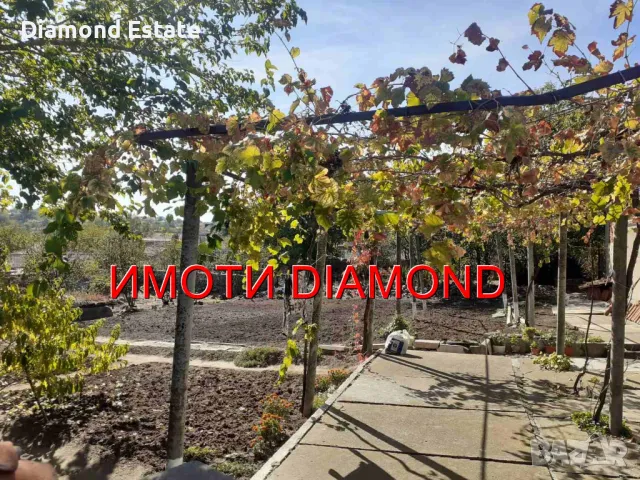 Едноетажна къща в село Ябълково общ. Димитровград, снимка 3 - Къщи - 47662708