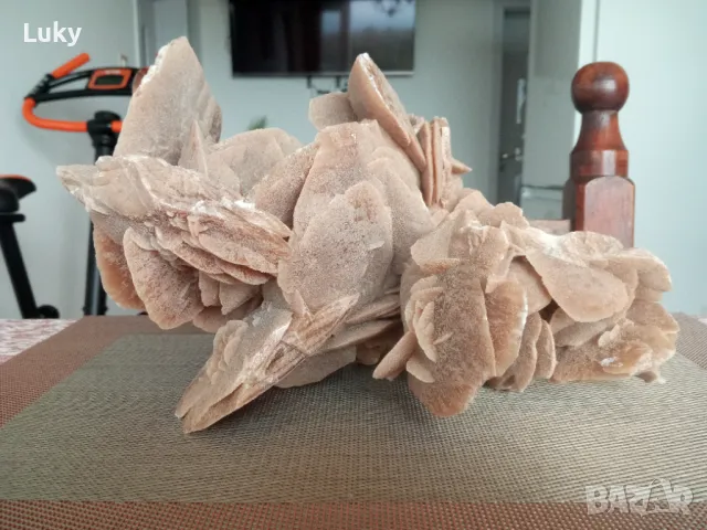 Красива и интересна вкаменелост--Пустинна роза от пустинята Сахара.