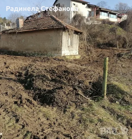 Продавам Упи в с.Божичен