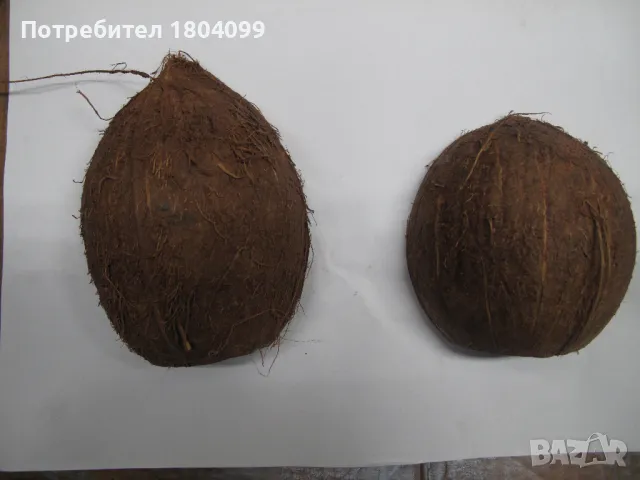 Кокос укритие с подложка за аквариум, снимка 2 - Аквариуми - 48661726