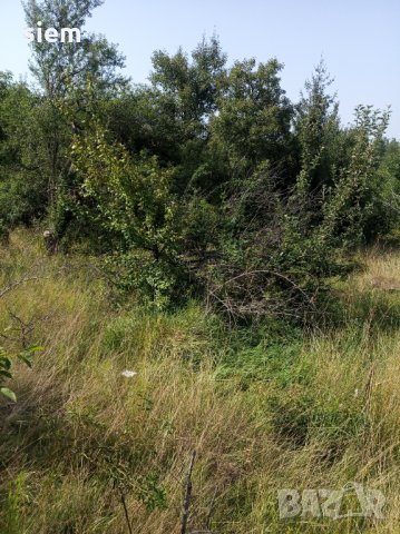 Дворно място/ Парцел 1000 кв.м, снимка 10 - Парцели - 33885672