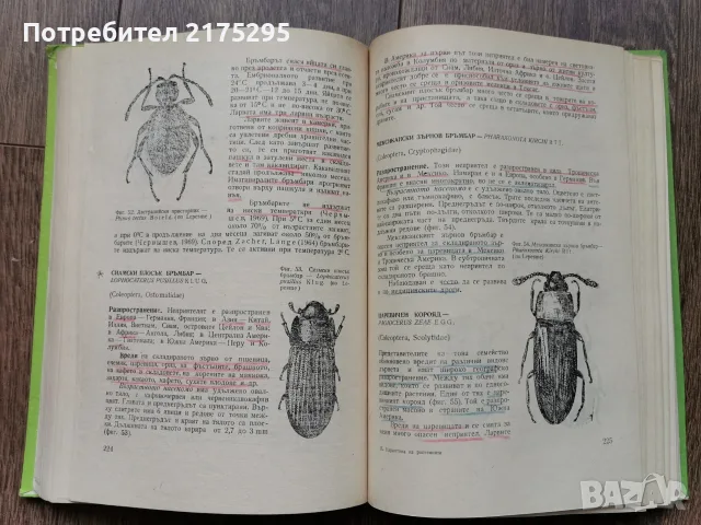 Карантина на растенията-Земиздат 1974г., снимка 12 - Учебници, учебни тетрадки - 56225071