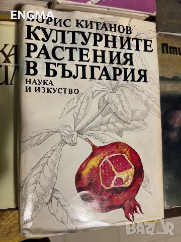 Книги , снимка 8 - Художествена литература - 49182827