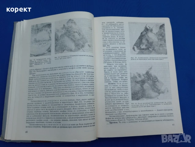 Частна хирургия при домашните животни , снимка 7 - Енциклопедии, справочници - 51185836