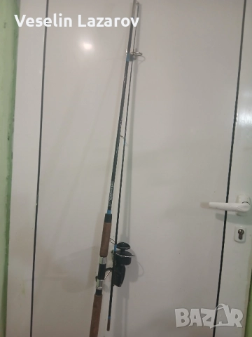 МичеЛ 300. ДжермИНА. 2.10см. Стандарт.