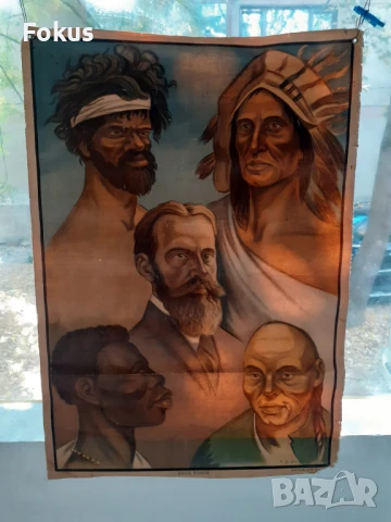 Много стар плакат антропологичен печат Човешките раси 1925г.