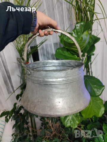 БАКЪРЕНО МЕНЧЕ (10л.)