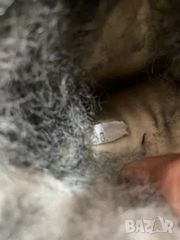 Оригинални ботуши , снимка 9 - Дамски ботуши - 48057634