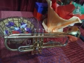 В тромпет , снимка 2