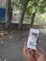 помериан продава се. , снимка 4
