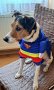 Кучешки костюм Супермен!- Superman / Bathman / Wonder woman/Super Power, снимка 3