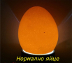 Тестер за яйце / яйца за инкубатор - Светлинен Овоскоп, снимка 7
