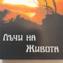 151. Поредица книги с беседи от Учителя Петър Дънов - част първа, снимка 6