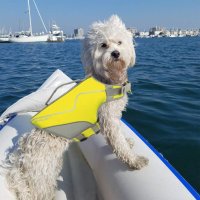 Нова светлоотразителна неопренова спасителна жилетка за куче море, снимка 5 - За кучета - 37931989