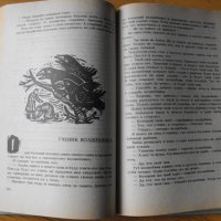 Королева лебедь/на руски ез./Литовски народни приказки., снимка 3 - Детски книжки - 40303619