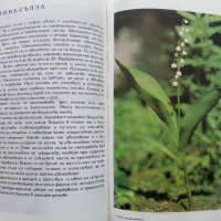 Албум за растения и животни - Н.Боев,С.Петров,П.Кръстев - 1976г., снимка 4 - Енциклопедии, справочници - 40616804