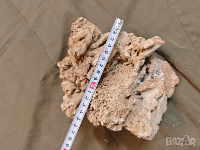 стар корал, снимка 9 - Други ценни предмети - 53748378