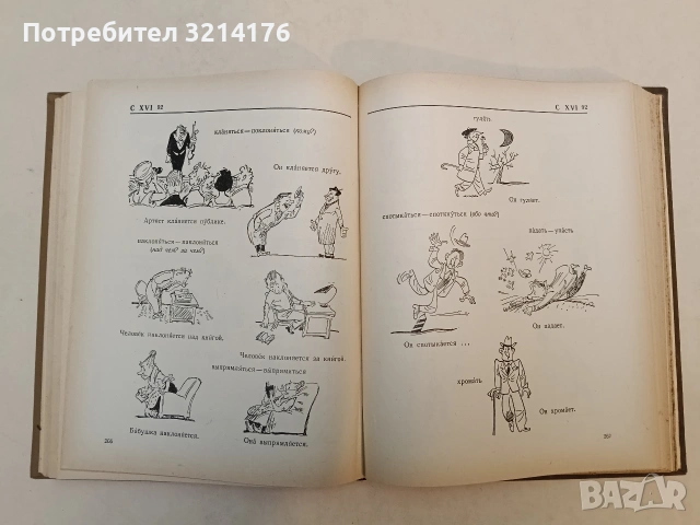Картинный словарь русского языка - Ю. В. Ванников, А. Н. Щукин (1965), снимка 10 - Чуждоезиково обучение, речници - 53355507