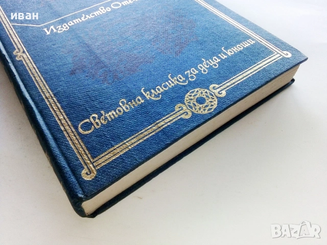 Анелка - Болеслав Прус - 1981г., снимка 3 - Художествена литература - 53412460