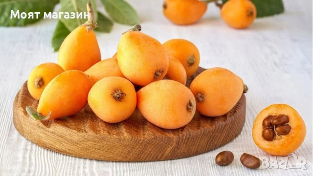 Японска Мушмула