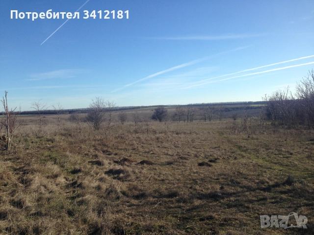 Голям парцел за застрояване в село Бежаново област Добрич собственик , снимка 4 - Парцели - 52341682