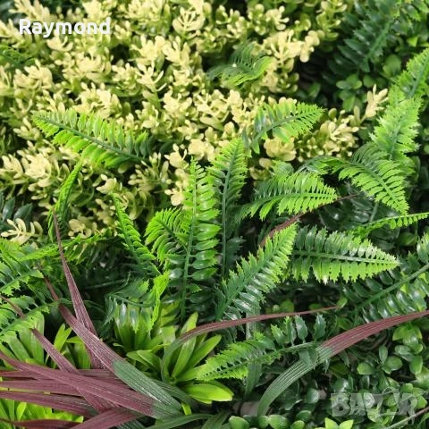 Декоративен Панел 1м² kw2735 – Изкуствена Зеленина с Папрат и Фаларис, UV Защита, снимка 7 - Декорация за дома - 51206199