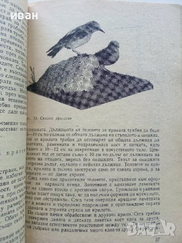 Кратко ръководство за препариране - Ефтим Ламбрев - 1976г. , снимка 3 - Енциклопедии, справочници - 40616709