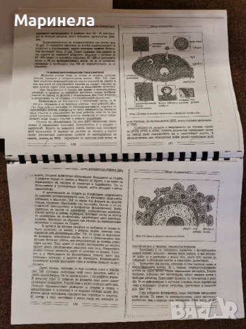 Съкратени теми по цитология за МУ , снимка 3 - Учебници, учебни тетрадки - 53418348